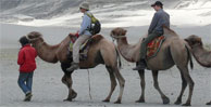 camel safari, nubra valley tour